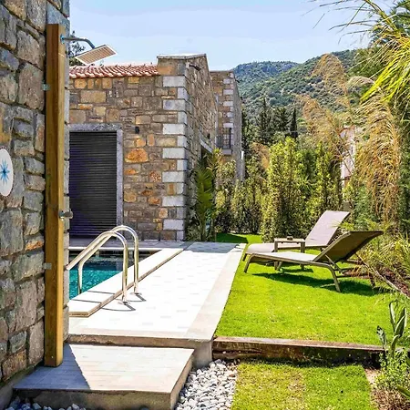 Kaktus * Torba
